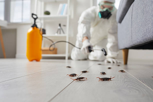 Commercial Kitchen Cockroach Control in Killian